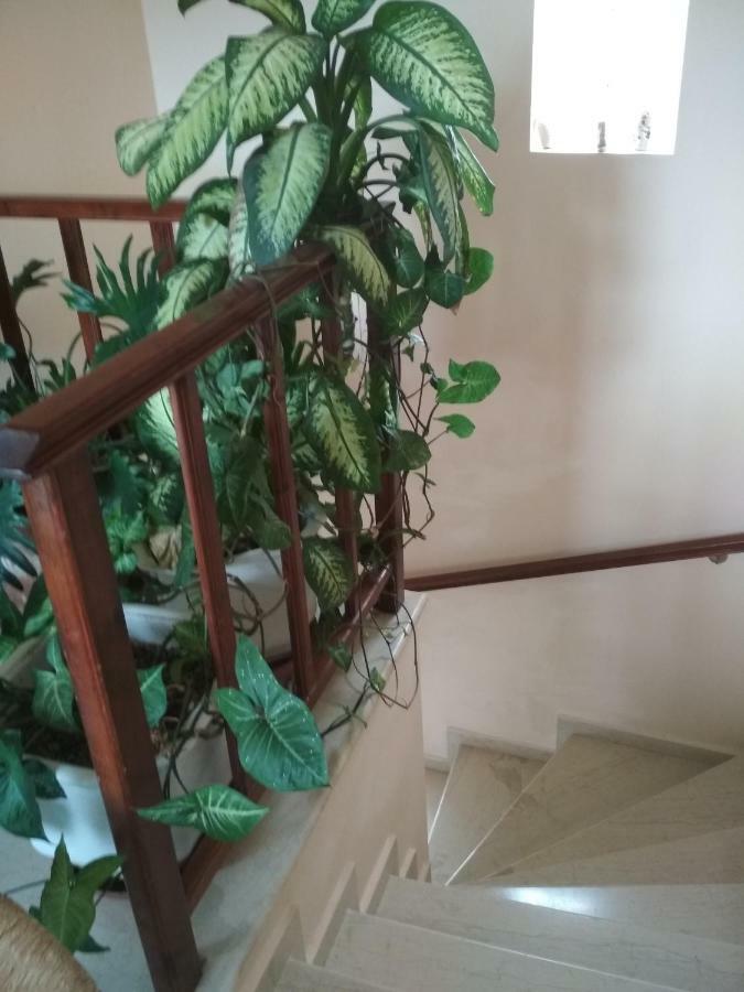 Villa Doxa Ierápetra Extérieur photo